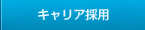 �L�����A�̗p