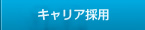 �L�����A�̗p