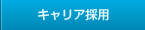 �L�����A�̗p