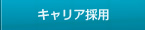 �L�����A�̗p