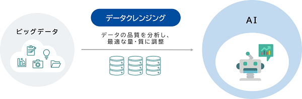 データクレンジング