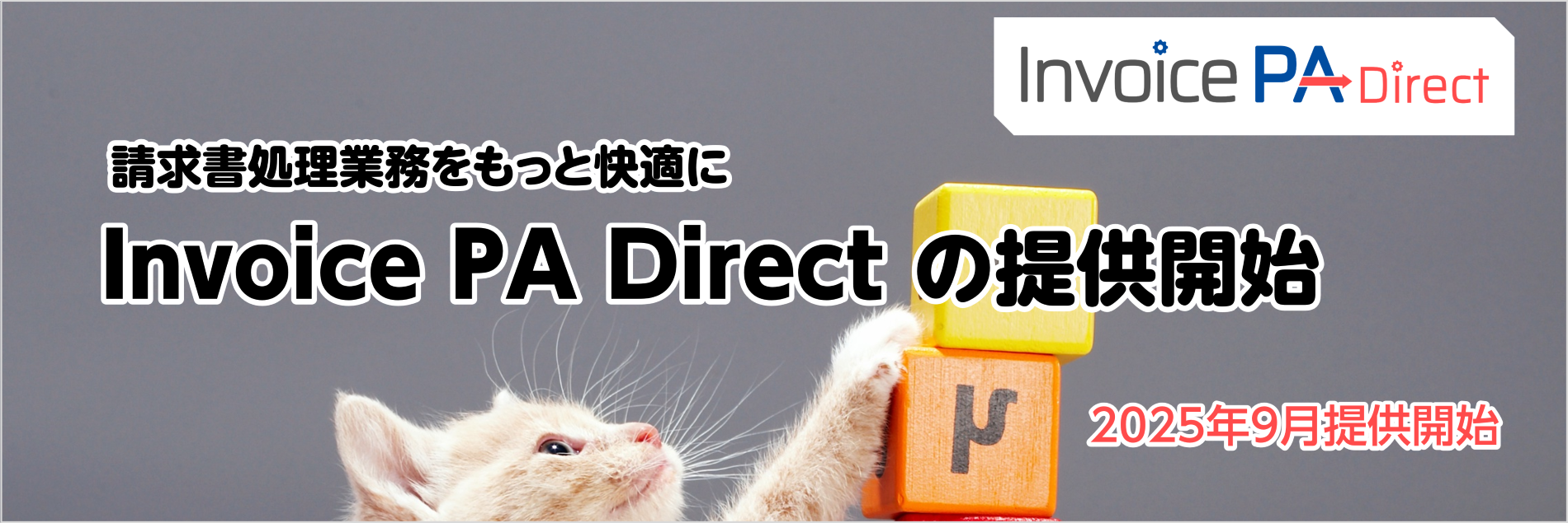 Invoice PA Direct